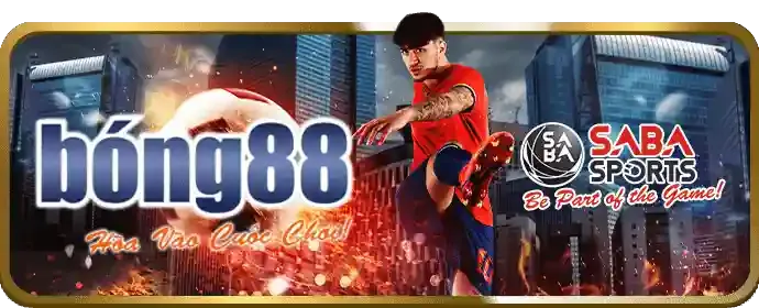 Cấp độ VIP Kim Cương Sonbet